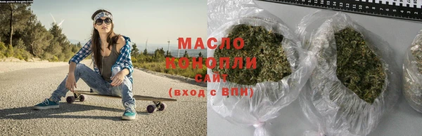 спиды Ельня